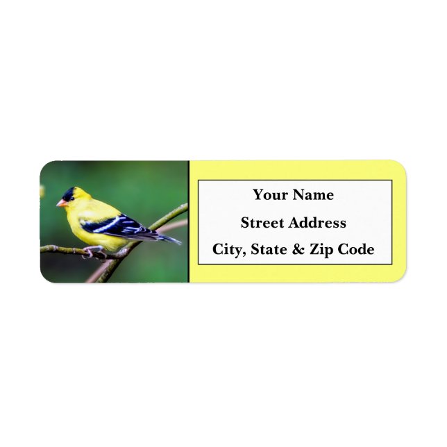 Amerikanska Goldfinch-Returetiketter Returadress Etikett (Framsidan)