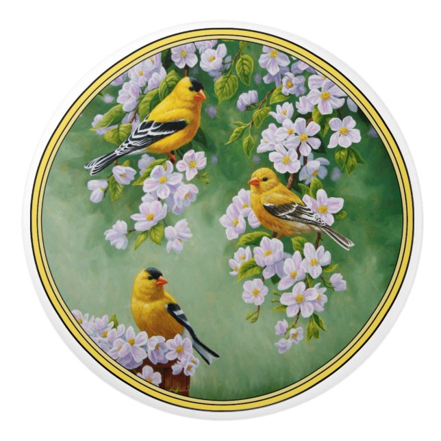Amerikanska Goldfinches & Rosa Apple-Blommar Knopp (Framsidan)