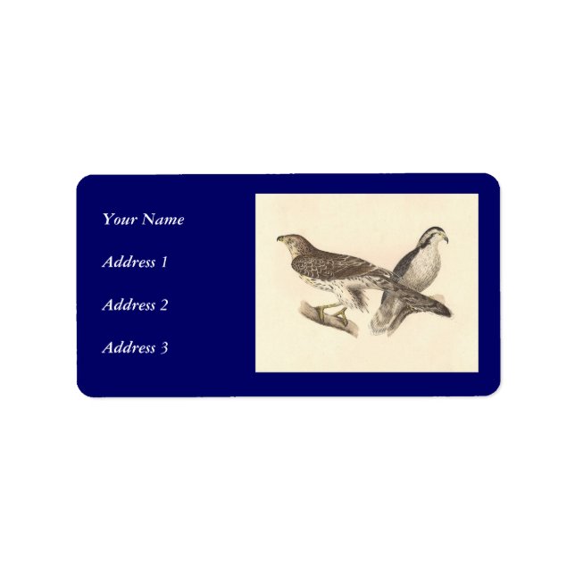 Amerikanska Goshawk (Astur atricapillus) Adressetikett (Framsidan)