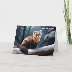 Amerikanska Gräs Marten Tack Kort