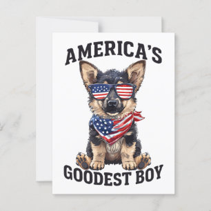 Amerikanska guldshepherd vykort