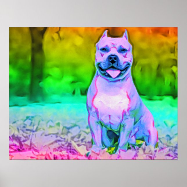 Amerikanska Hund Pit Bull Terrier Poster (Framsidan)