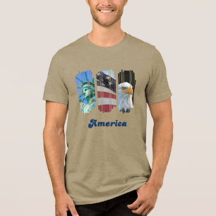 Amerikanska Ikoner Flagga Örn Staty T Shirt