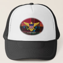 Amerikanska Jungfruöarna Flagga USVI Madras Västin