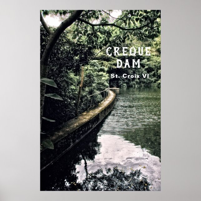 Amerikanska Jungfruöarna Rain Forest Creque Dam US Poster (Framsidan)