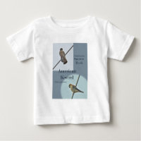 Amerikanska Kestrel-artiklar (Falco sparverius)
