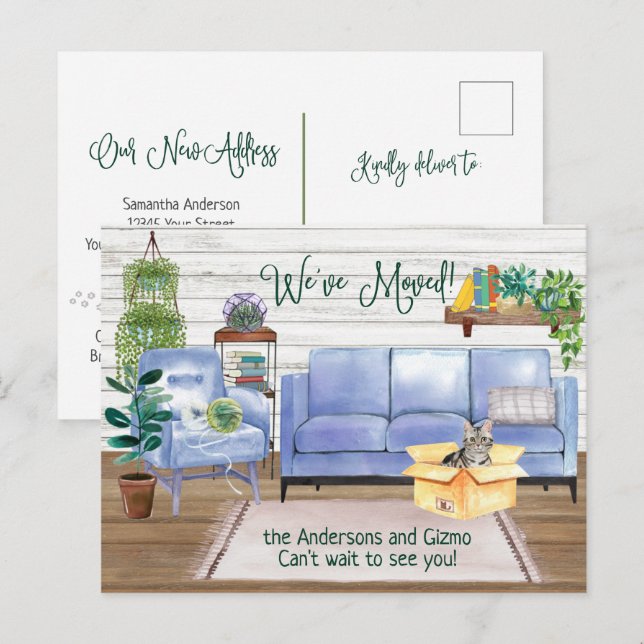 Amerikanska Kort Hair Cat Mysigt New Home Flytta  (Fram/baksida)