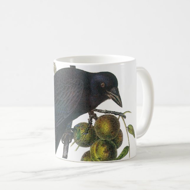 Amerikanska Kråkan av Audubon Kaffemugg (Framsida höger)