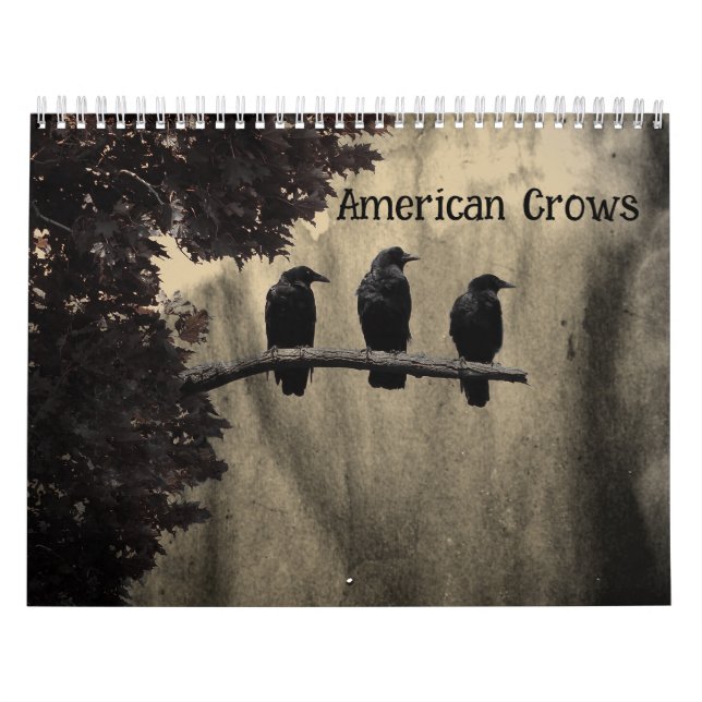 Amerikanska kråkor kalender (Omslag)