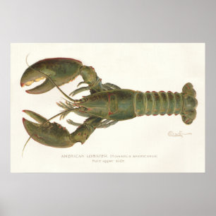 Amerikanska lobbyn Sherman Denton Fish Lithograph Poster