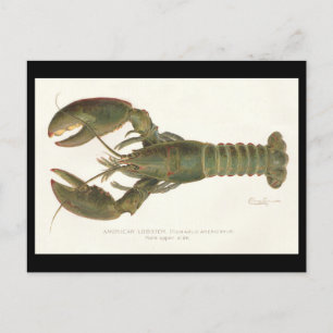 Amerikanska lobbyn Sherman Denton Fish Lithograph Vykort