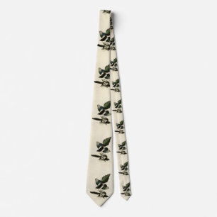Amerikanska Magpie från Audubon's Birds of America Slips