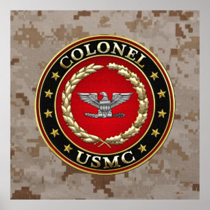 Amerikanska marinsoldater: Överste (USMC Col) [3D] Poster