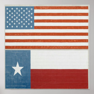 Amerikanska och Texas Flagga USA Red White och Blu Poster
