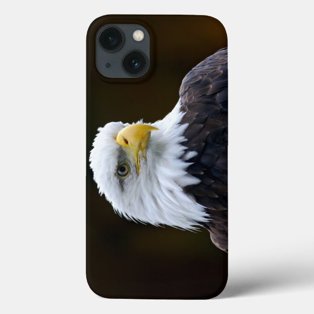 Amerikanska Örn (Baksida)