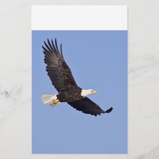 Amerikanska Örn (Framsida)