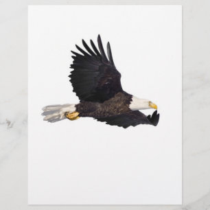 Amerikanska Örn