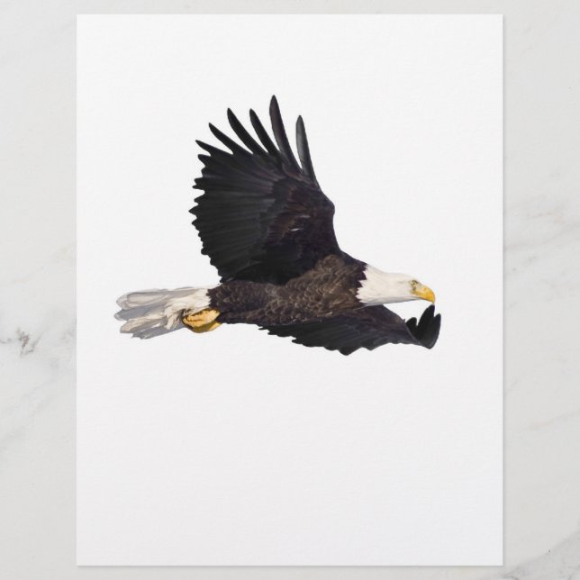 Amerikanska Örn (Framsida)