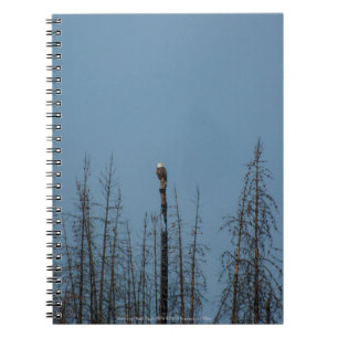 Amerikanska Örn 8974 Anteckningsbok