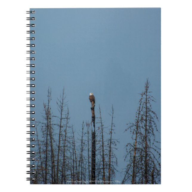 Amerikanska Örn 8974 Anteckningsbok (Framsidan)