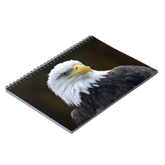 Amerikanska Örn Anteckningsbok (Vänstra Sidan)