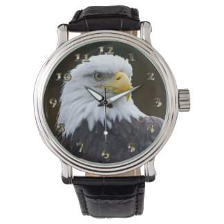 Amerikanska Örn Armbandsur