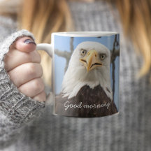 Amerikanska Örn Bra Morgonfunny