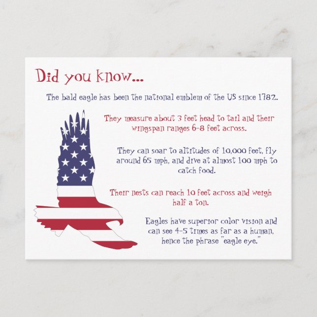 Amerikanska Örn Facts Vykort (Framsida)