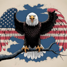 Amerikanska Örn Flagga