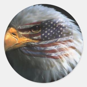 Amerikanska örn med amerikanska flagga runt klistermärke