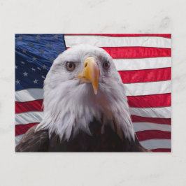 Amerikanska Örn och amerikanska Flagga Vykort
