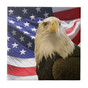 Amerikanska Örn och Flagga Kakelplatta