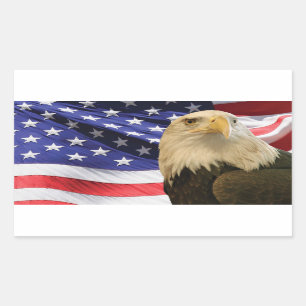 Amerikanska Örn och Flagga Rektangulärt Klistermärke