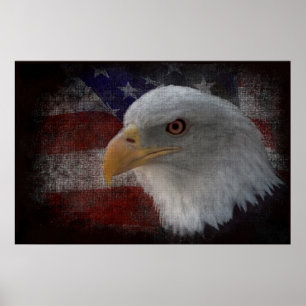 Amerikanska Örn på Flagga Poster