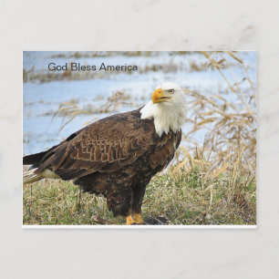 Amerikanska Örn på vykort