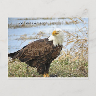 Amerikanska Örn på vykort