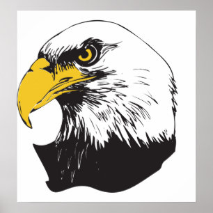 Amerikanska Örn Poster