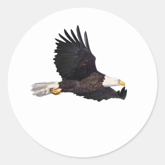 Amerikanska Örn Runt Klistermärke (Framsida)