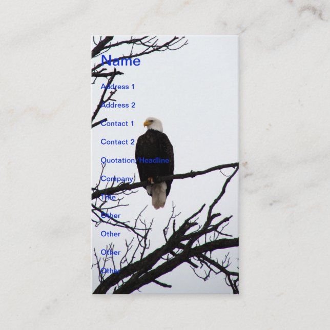 Amerikanska Örn Visitkort (Framsida)