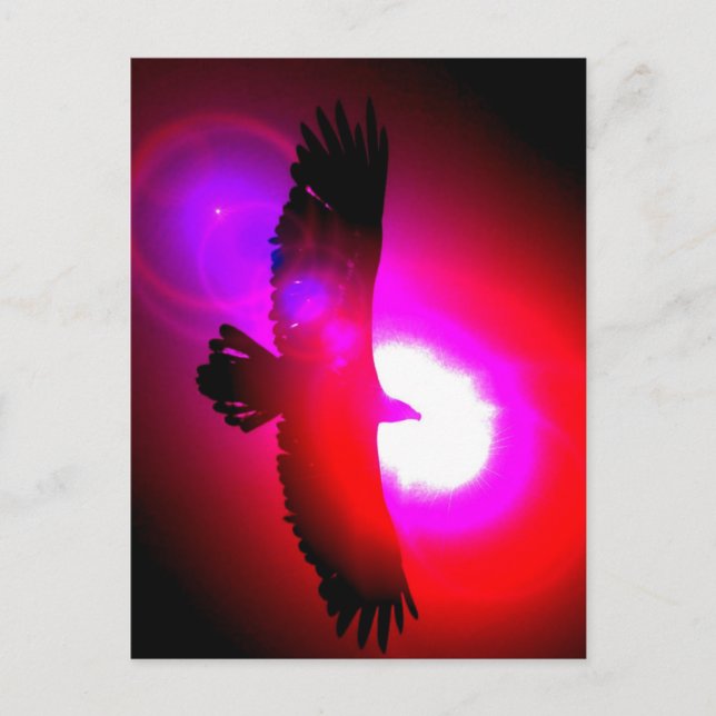 Amerikanska Örn Vykort (Framsida)