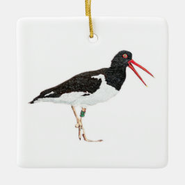 Amerikanska Oystercatcher Julgransprydnad Keramik