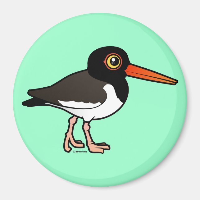 Amerikanska Oystercatcher Magnet (Framsidan)