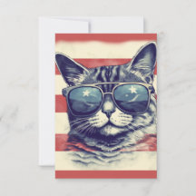 Amerikanska, Patriotic American Cat