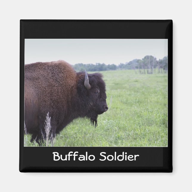 Amerikanska Plains Buffalo Bison Magnet (Framsidan)
