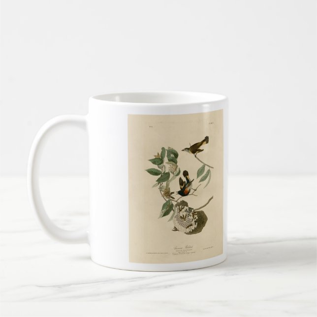 Amerikanska Redstart från Audubon's Birds of Ameri Kaffemugg (Vänster)