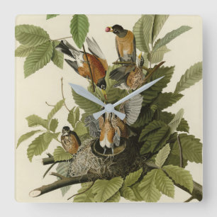 Amerikanska Robin från Audubon's Birds of America Fyrkantig Klocka