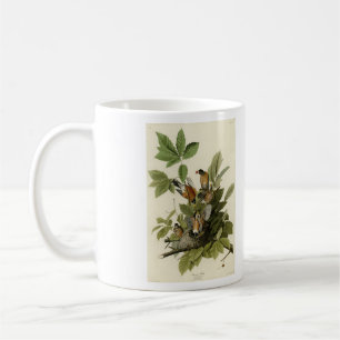 Amerikanska Robin från Audubon's Birds of America Kaffemugg