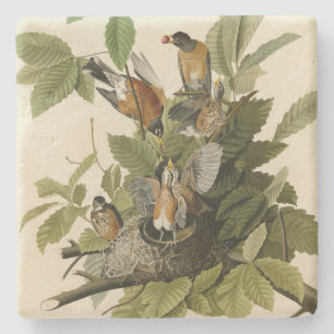 Amerikanska Robin från Audubon's Birds of America Stenunderlägg