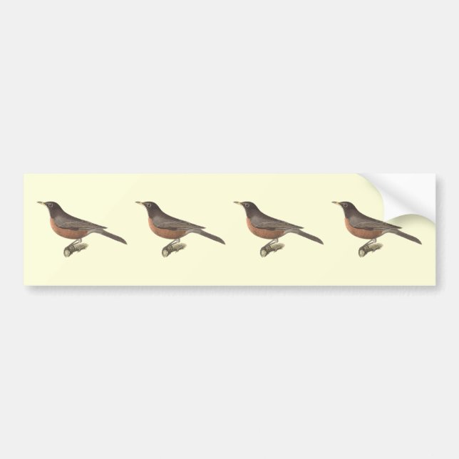 Amerikanska Robin (Turdus migratorius) NY Birds Bildekal (Framsidan)