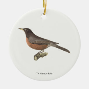 Amerikanska Robin (Turdus migratorius) NY Birds Julgransprydnad Keramik